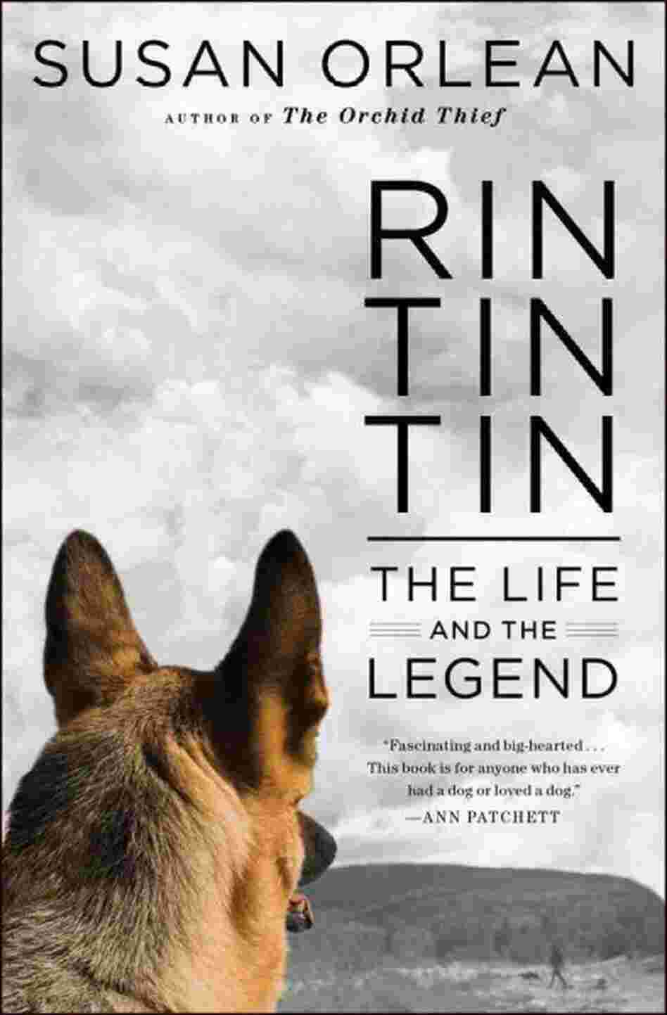 Rin Tin Tin Rin Tin Tin