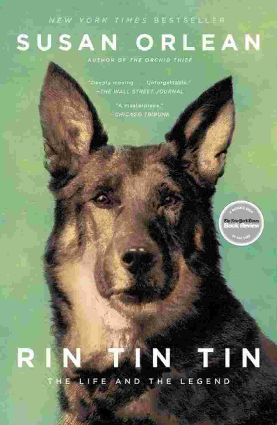 Rin Tin Tin Rin Tin Tin