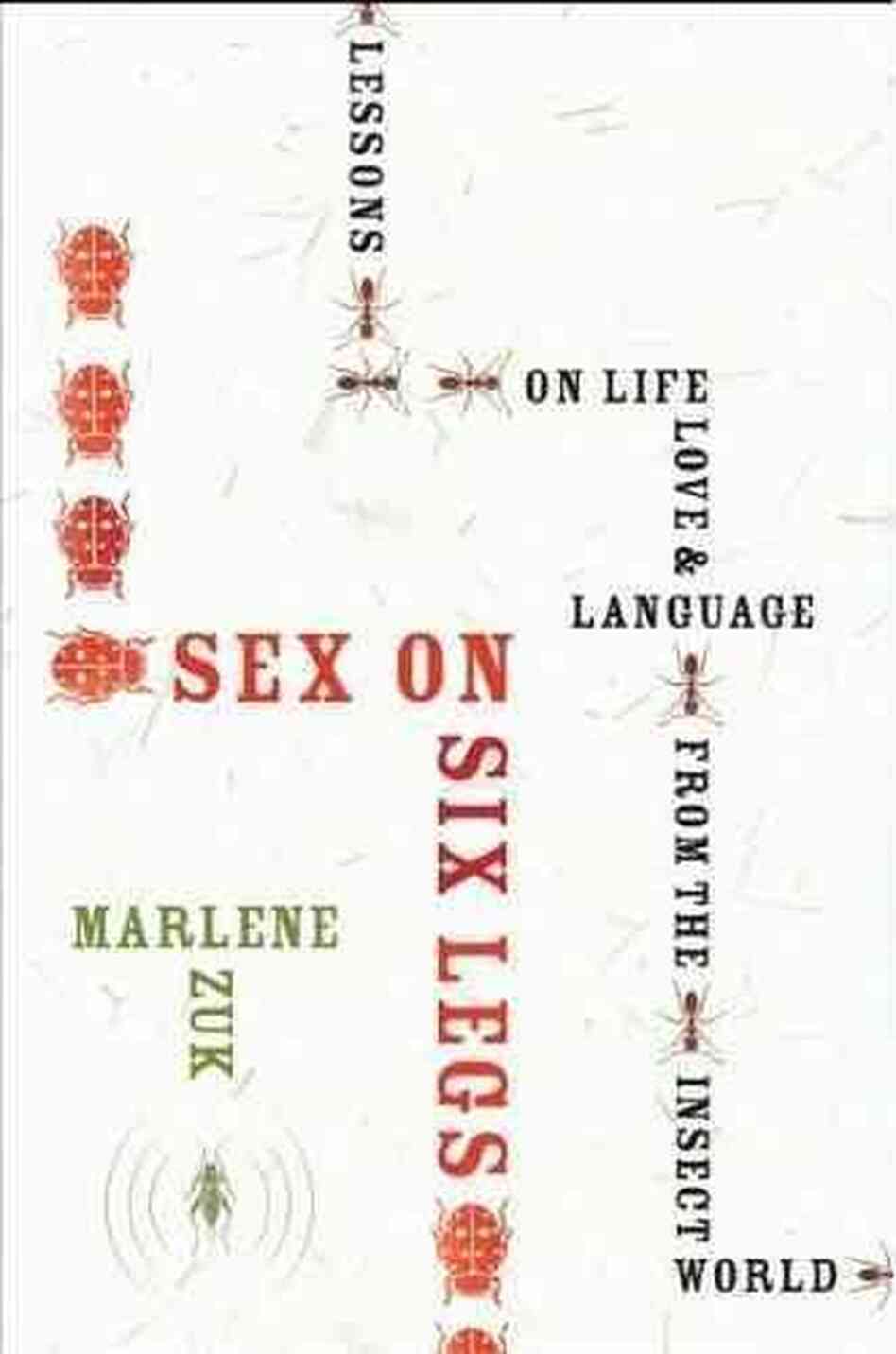 Sex on Six Legs Sex on Six Legs