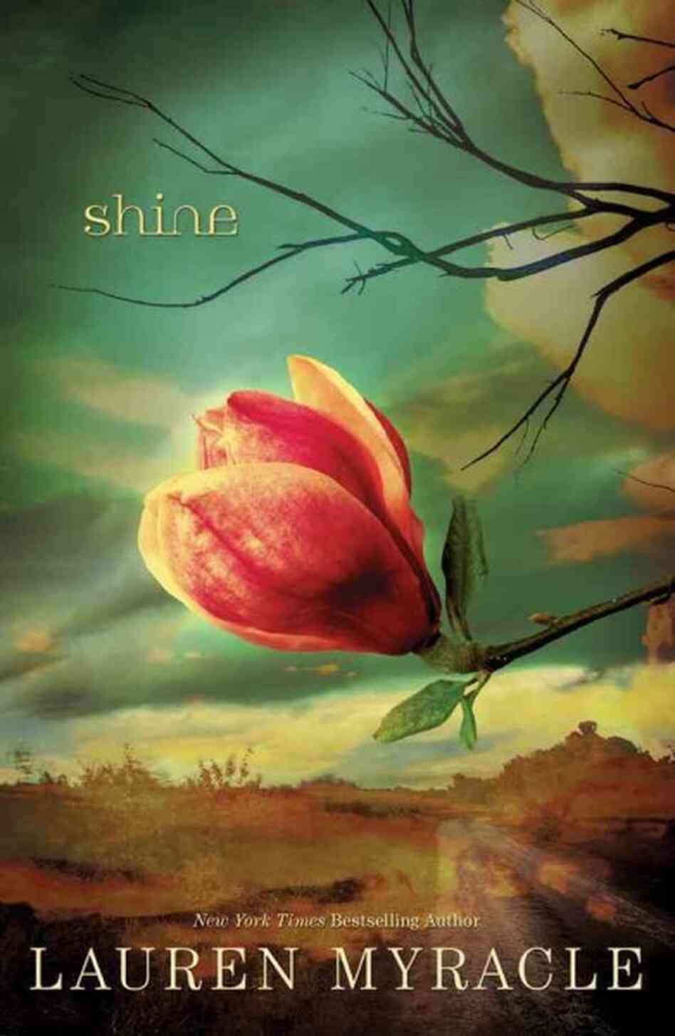 Shine Shine