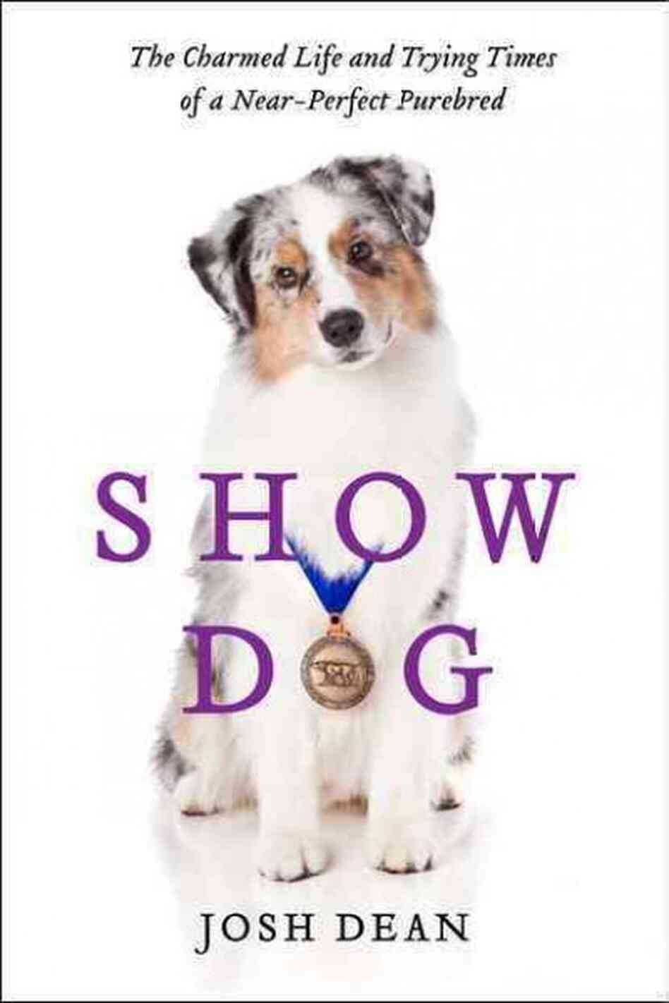 Show Dog