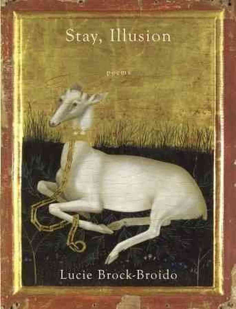 Stay, Illusion Stay, Illusion