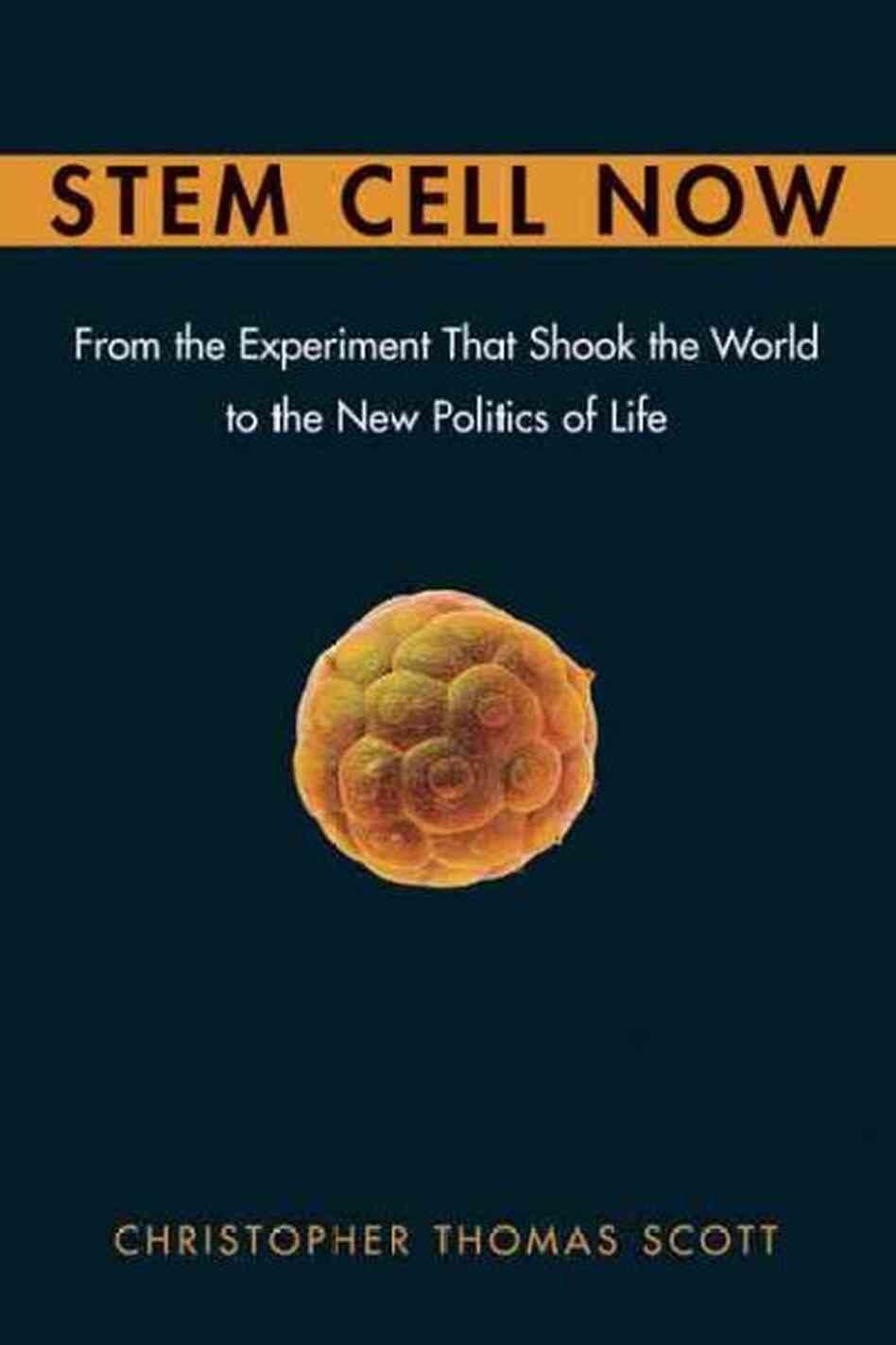 Stem Cell Now