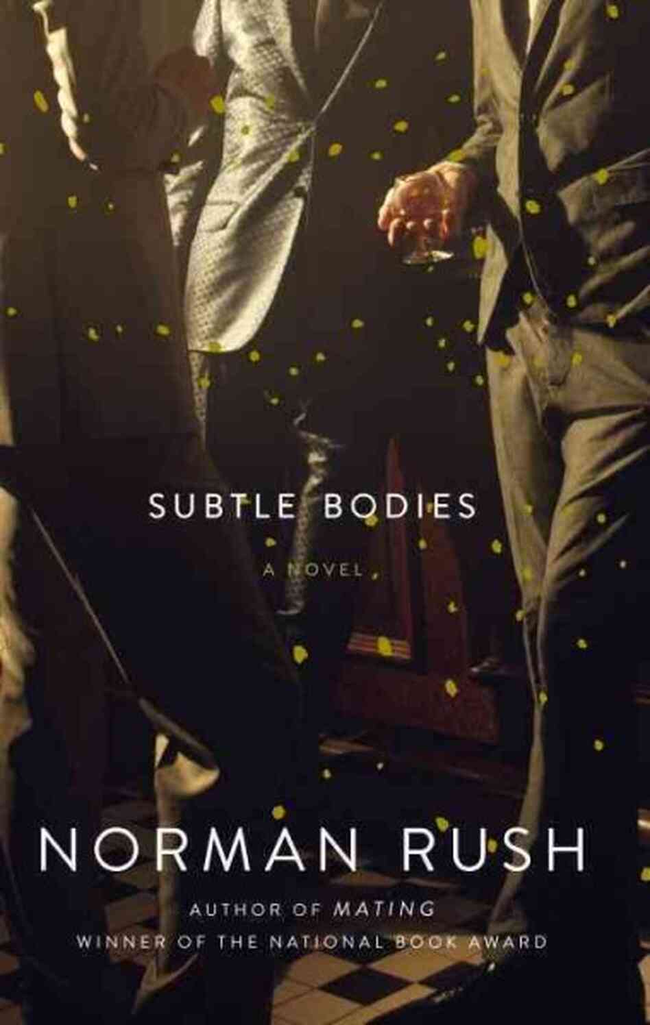 Subtle Bodies Subtle Bodies