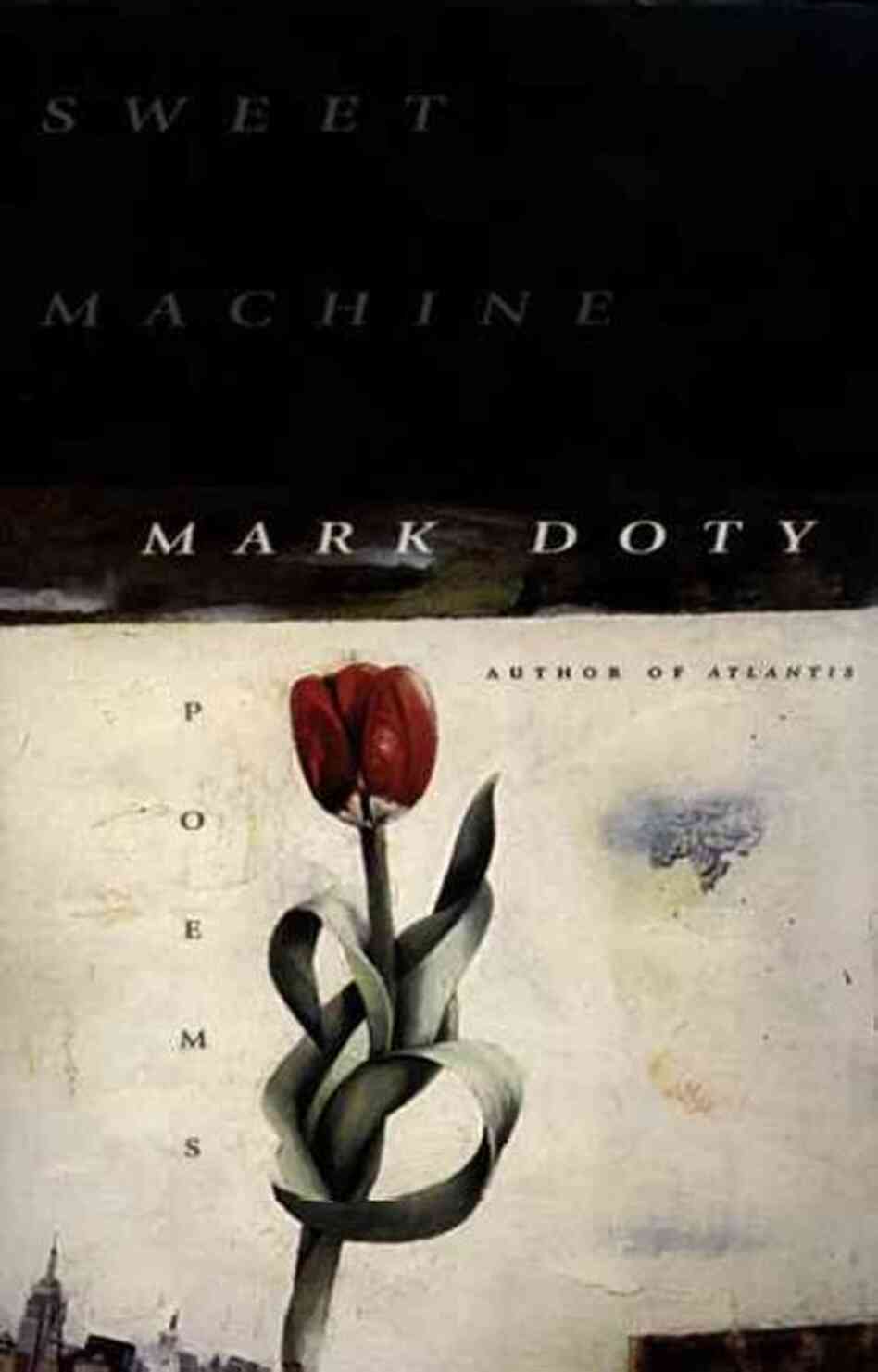 Sweet Machine Sweet Machine