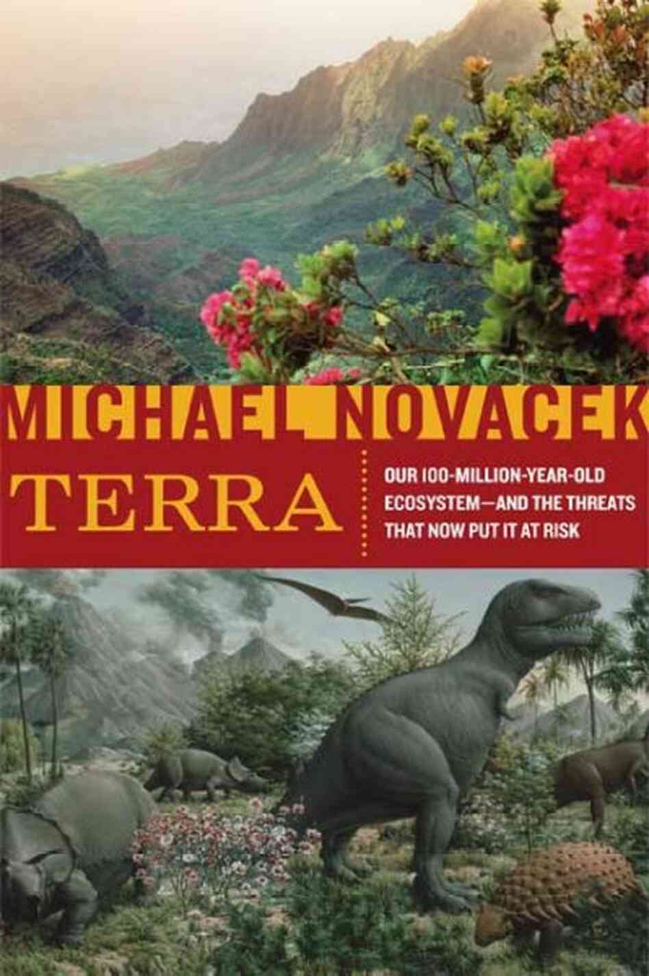 Terra