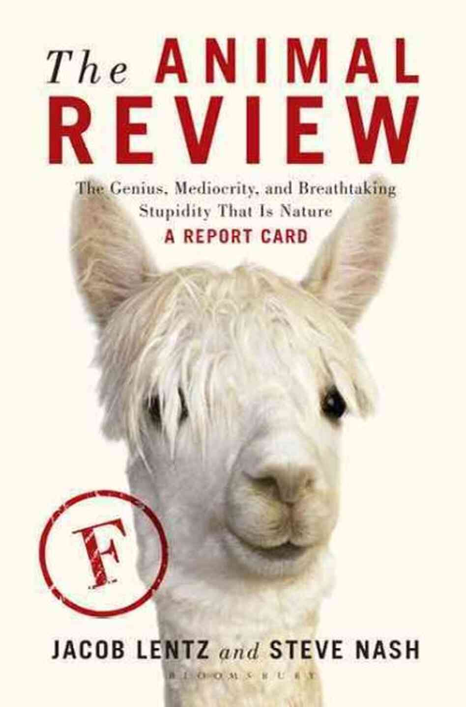 The Animal Review The Animal Review