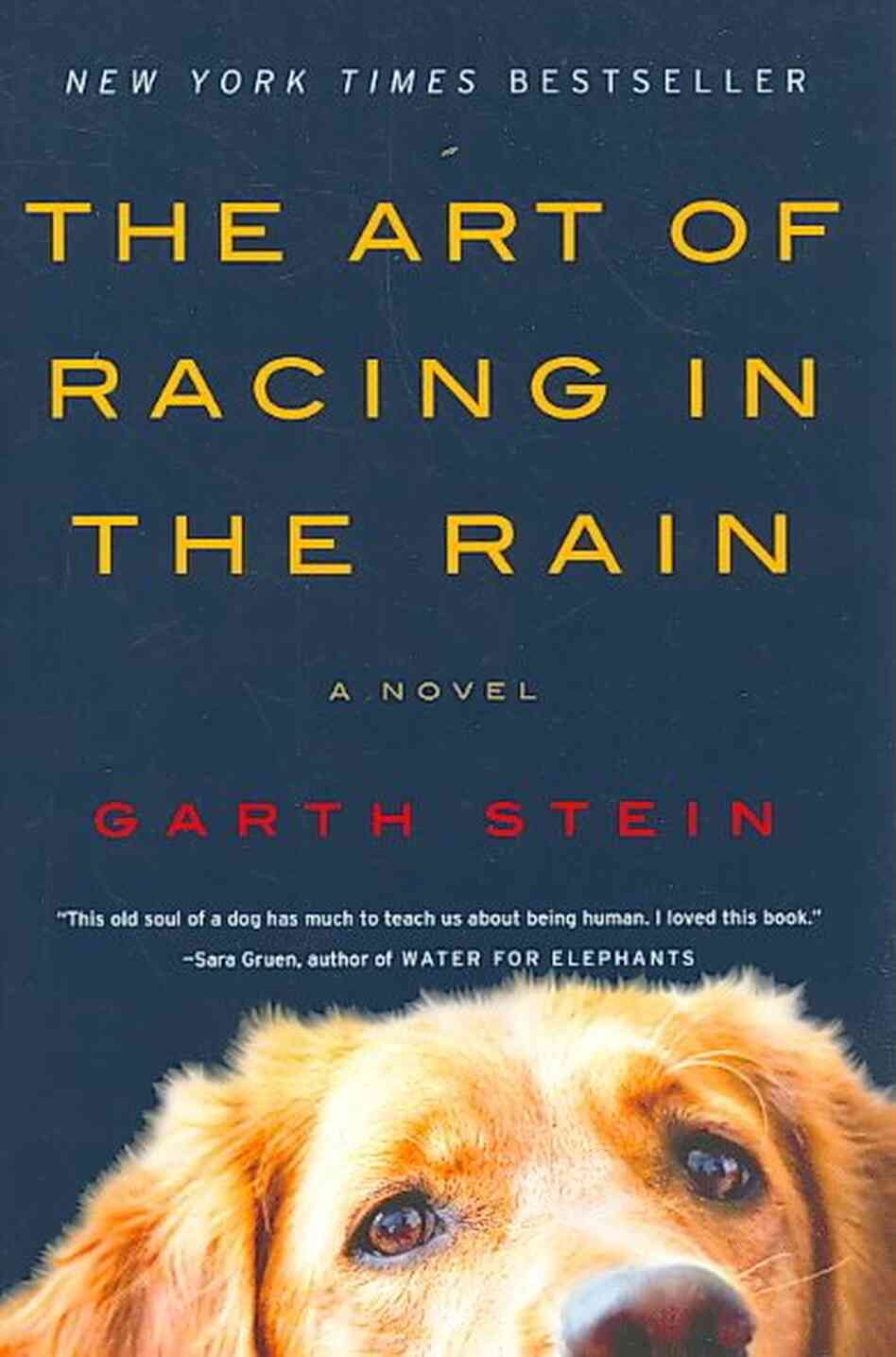 The Art of Racing in the Rain
