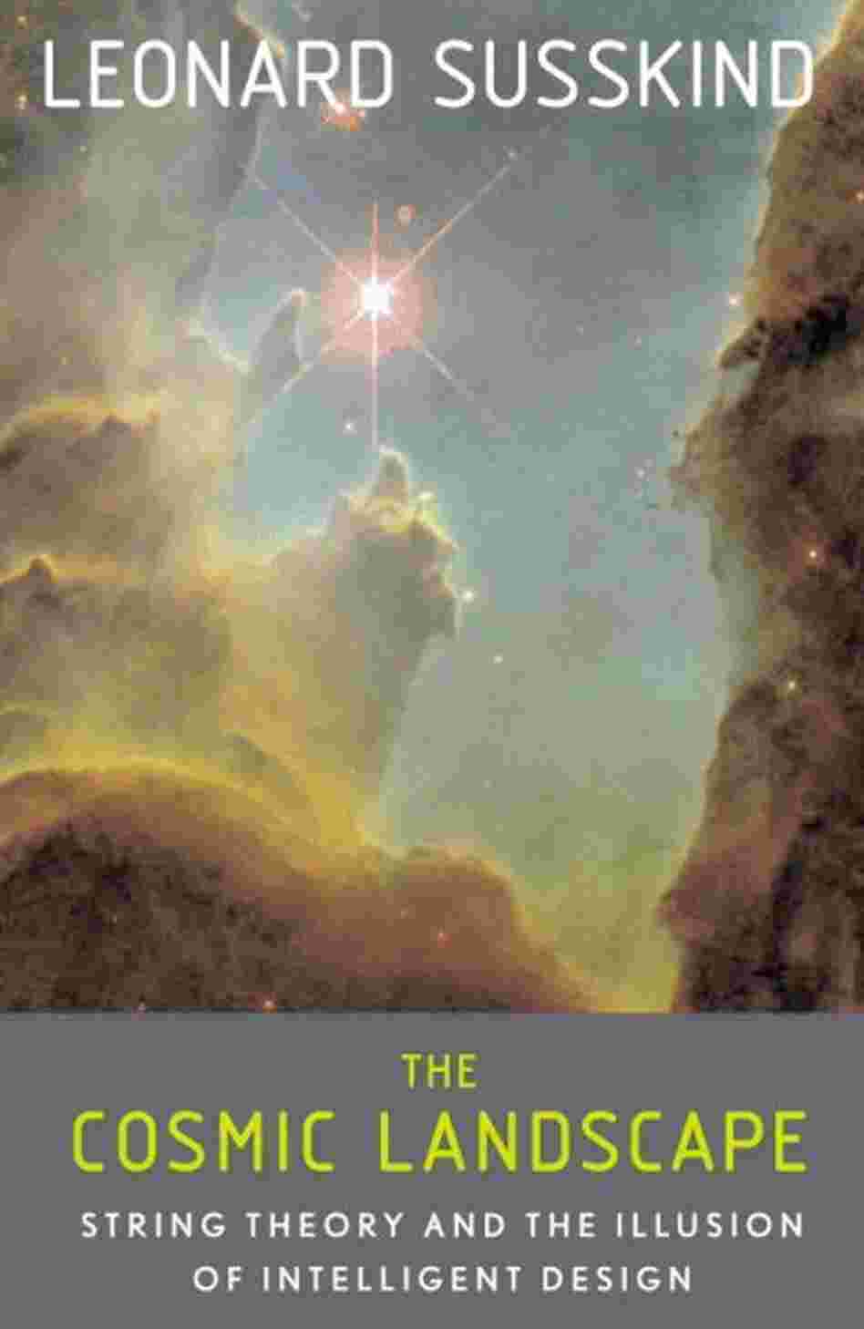 The Cosmic Landscape