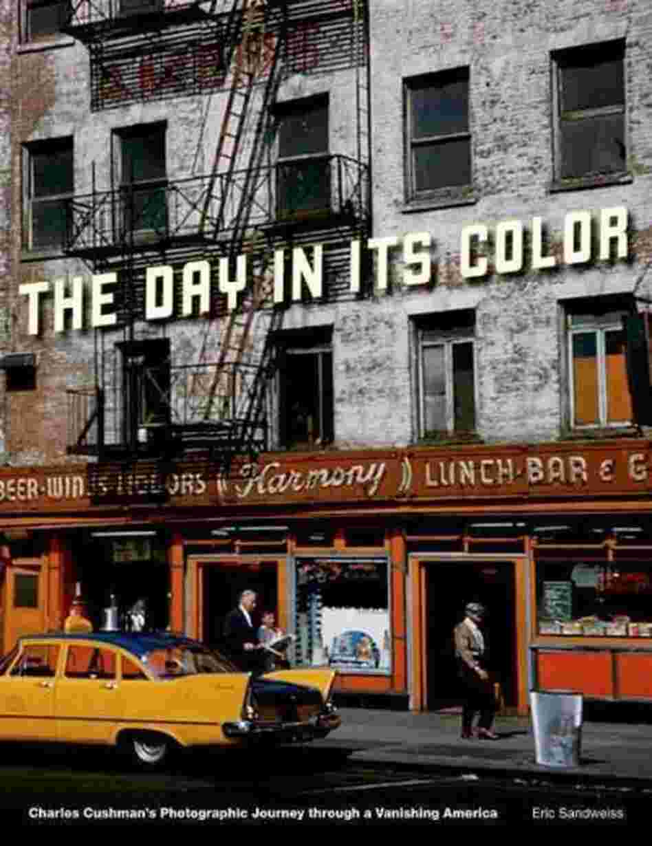 The Day in Its Color The Day in Its Color