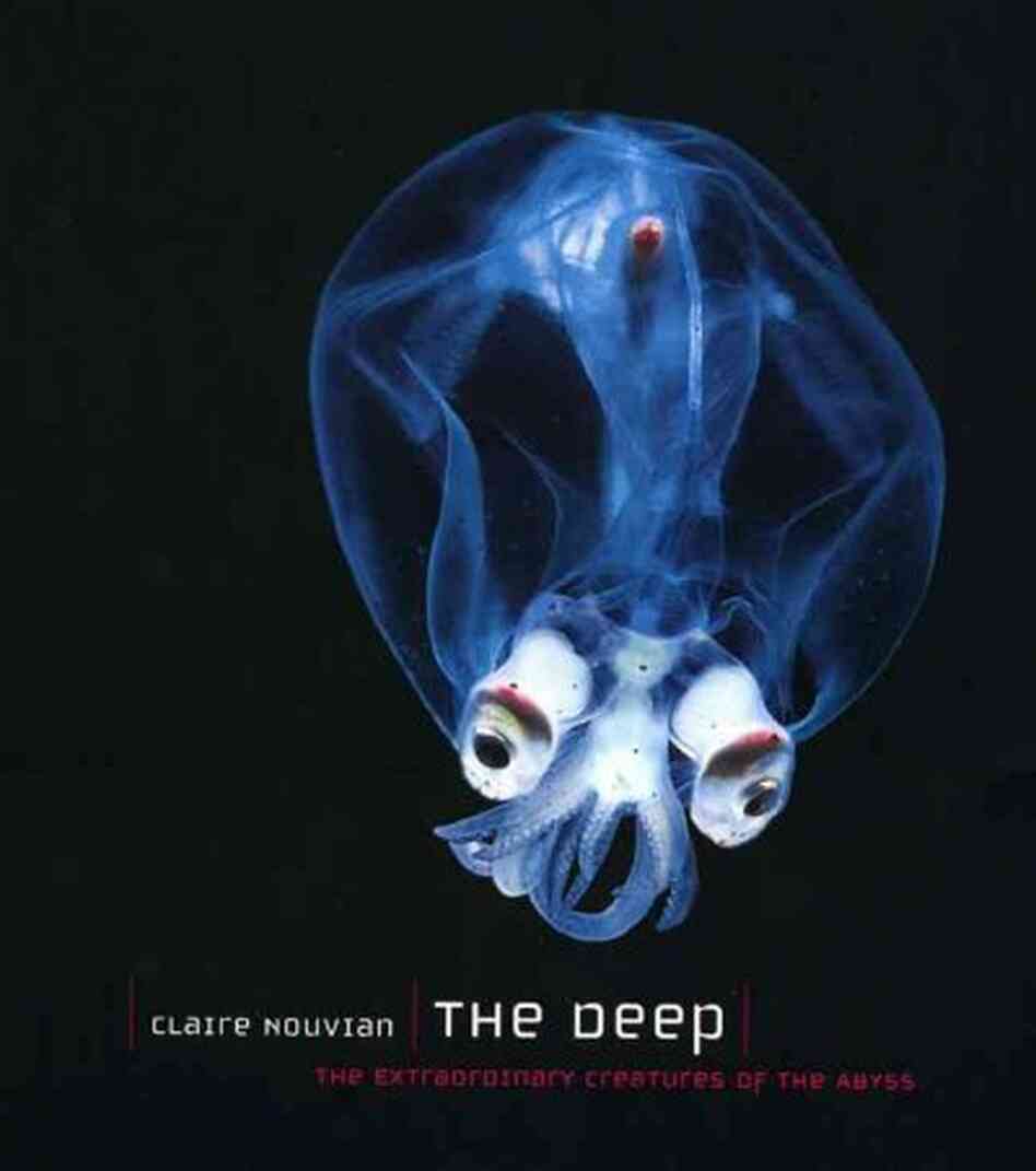 The Deep The Deep