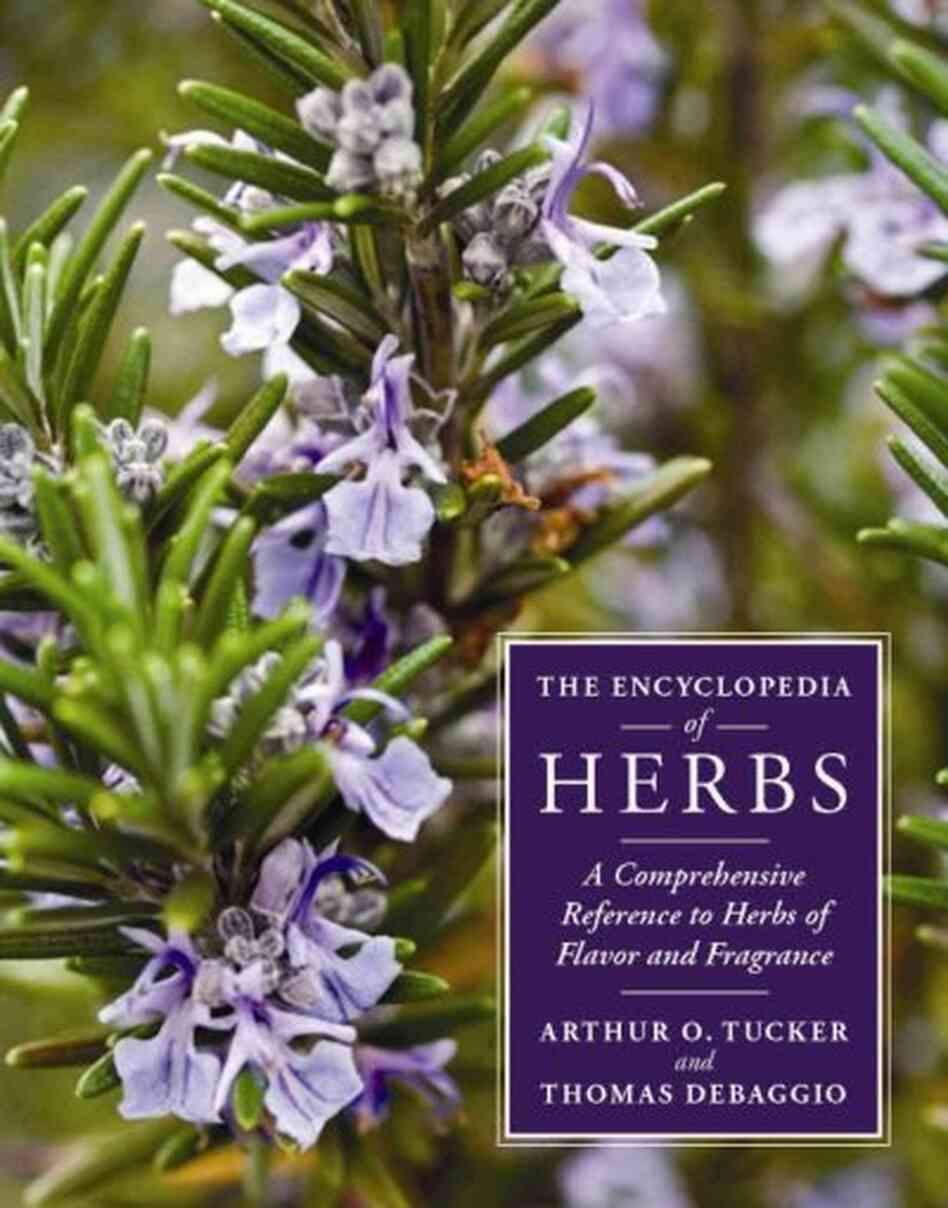 The Encyclopedia of Herbs The Encyclopedia of Herbs