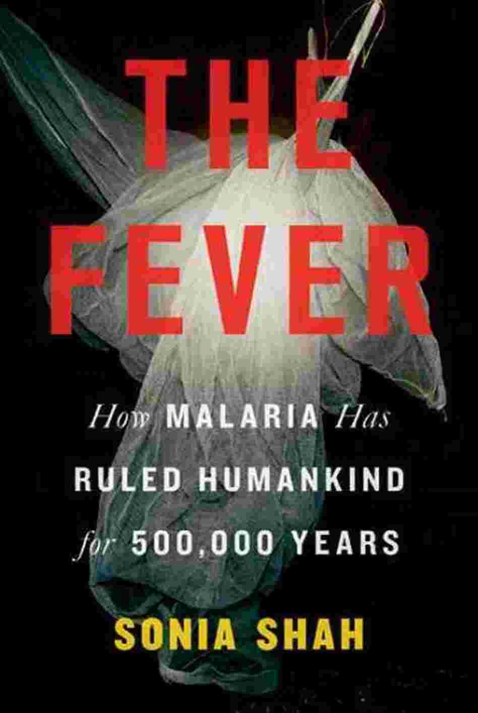 The Fever The Fever