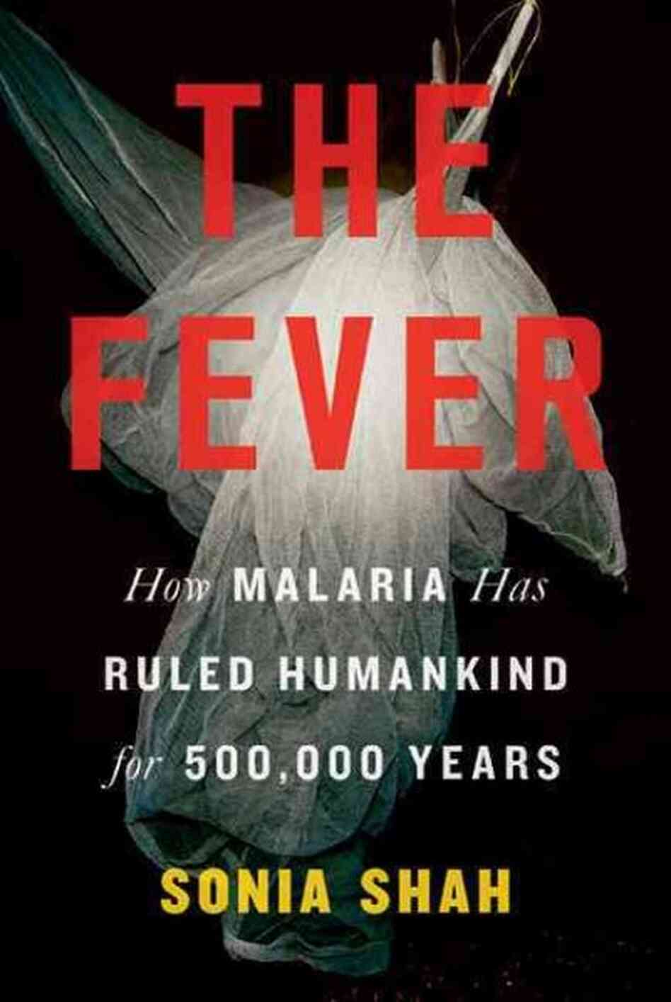 The Fever The Fever