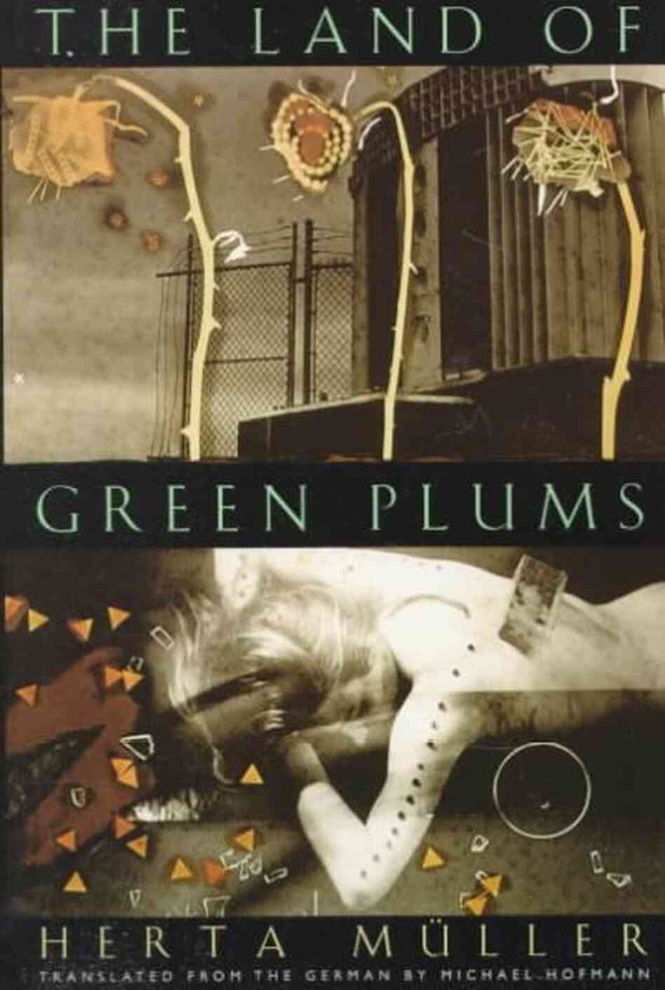 The Land of Green Plums The Land of Green Plums