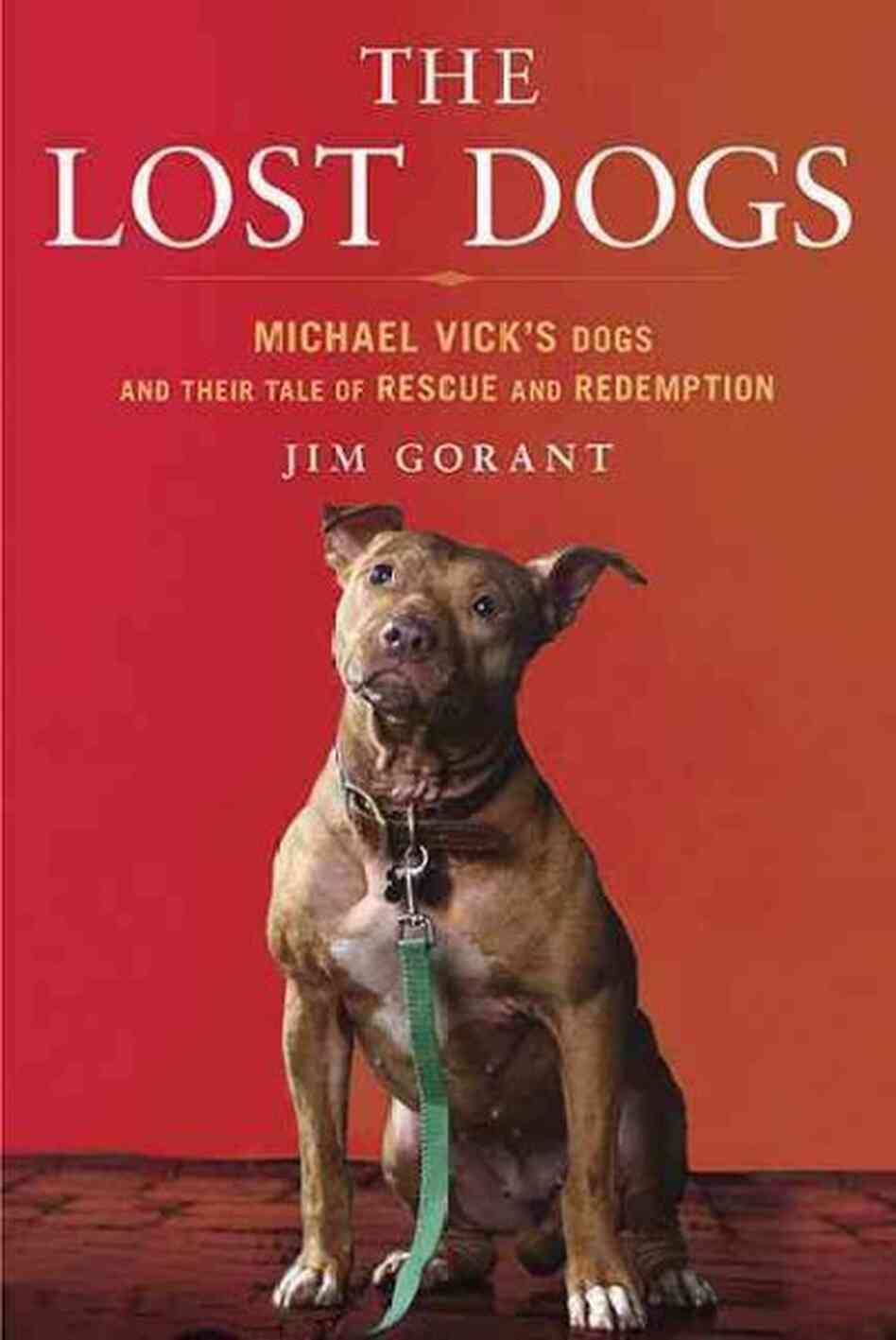 The Lost Dogs The Lost Dogs