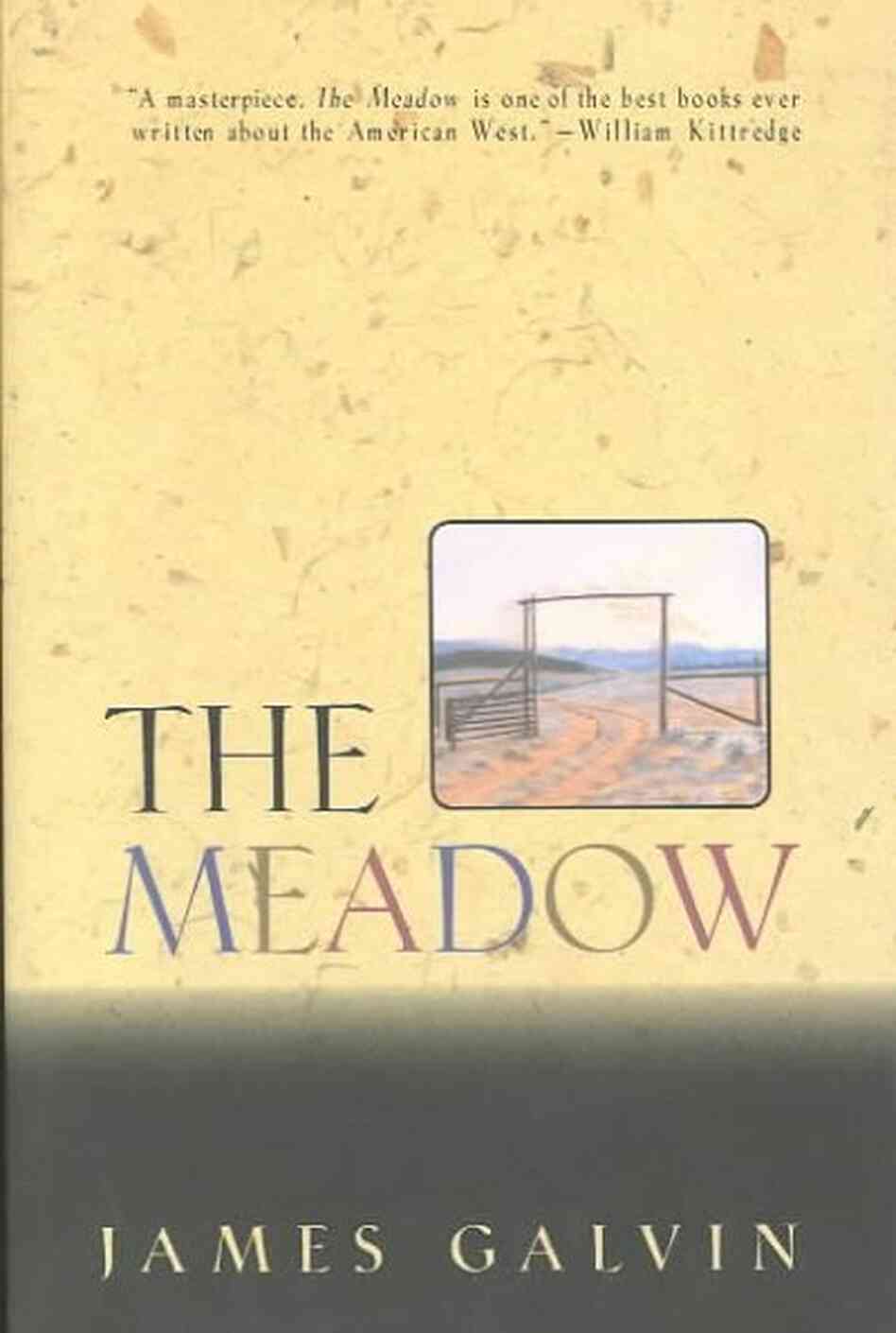 The Meadow The Meadow