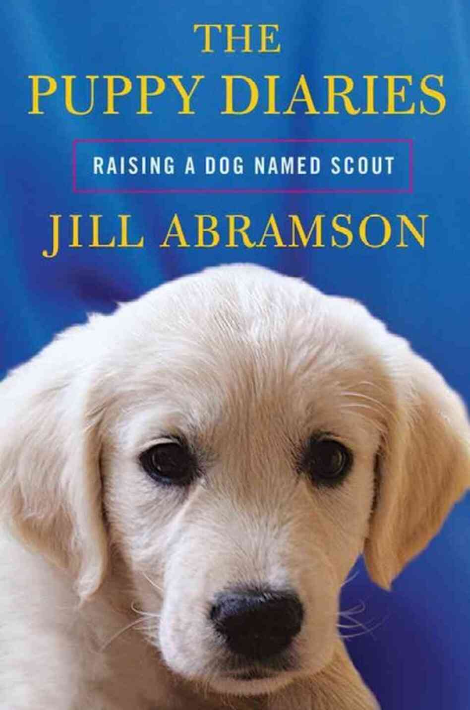 The Puppy Diaries