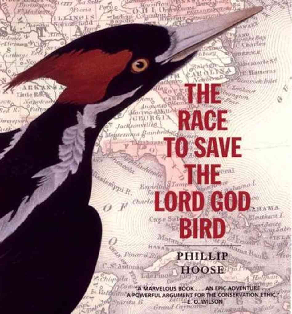 The Race to Save the Lord God Bird The Race to Save the Lord God Bird
