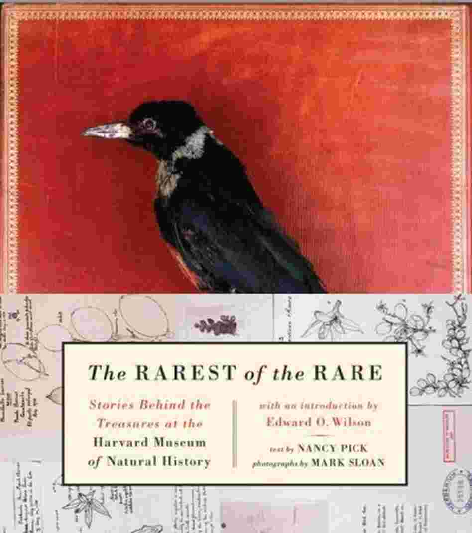 The Rarest of the Rare