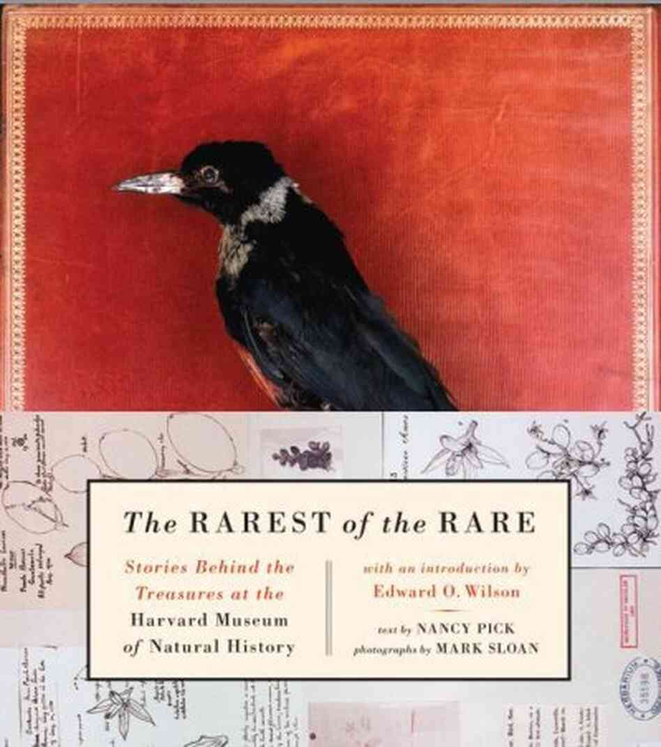 The Rarest of the Rare
