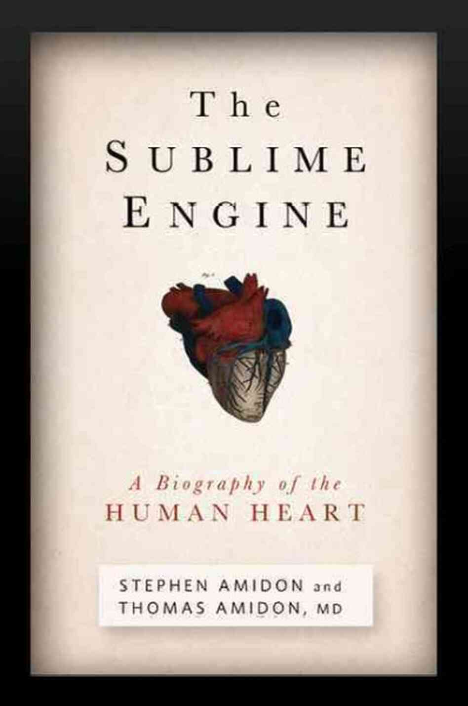 The Sublime Engine The Sublime Engine