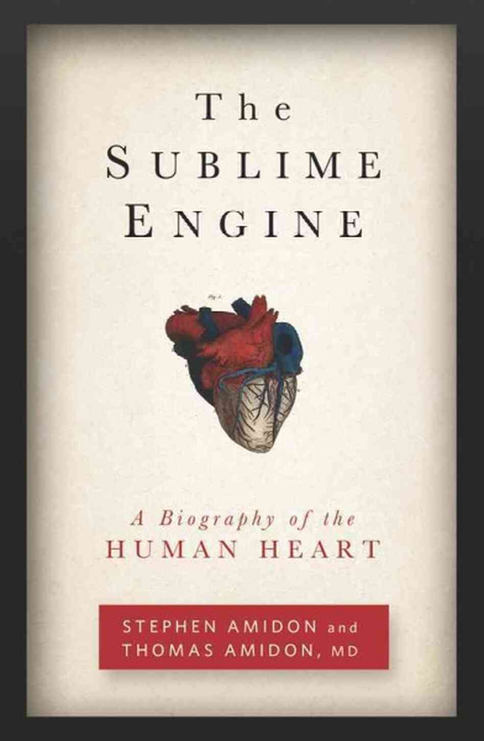 The Sublime Engine The Sublime Engine