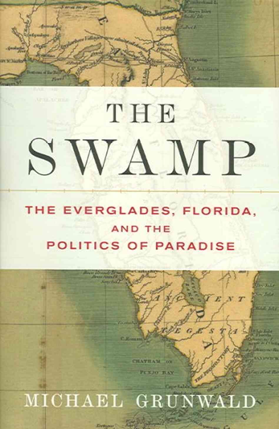 The Swamp The Swamp