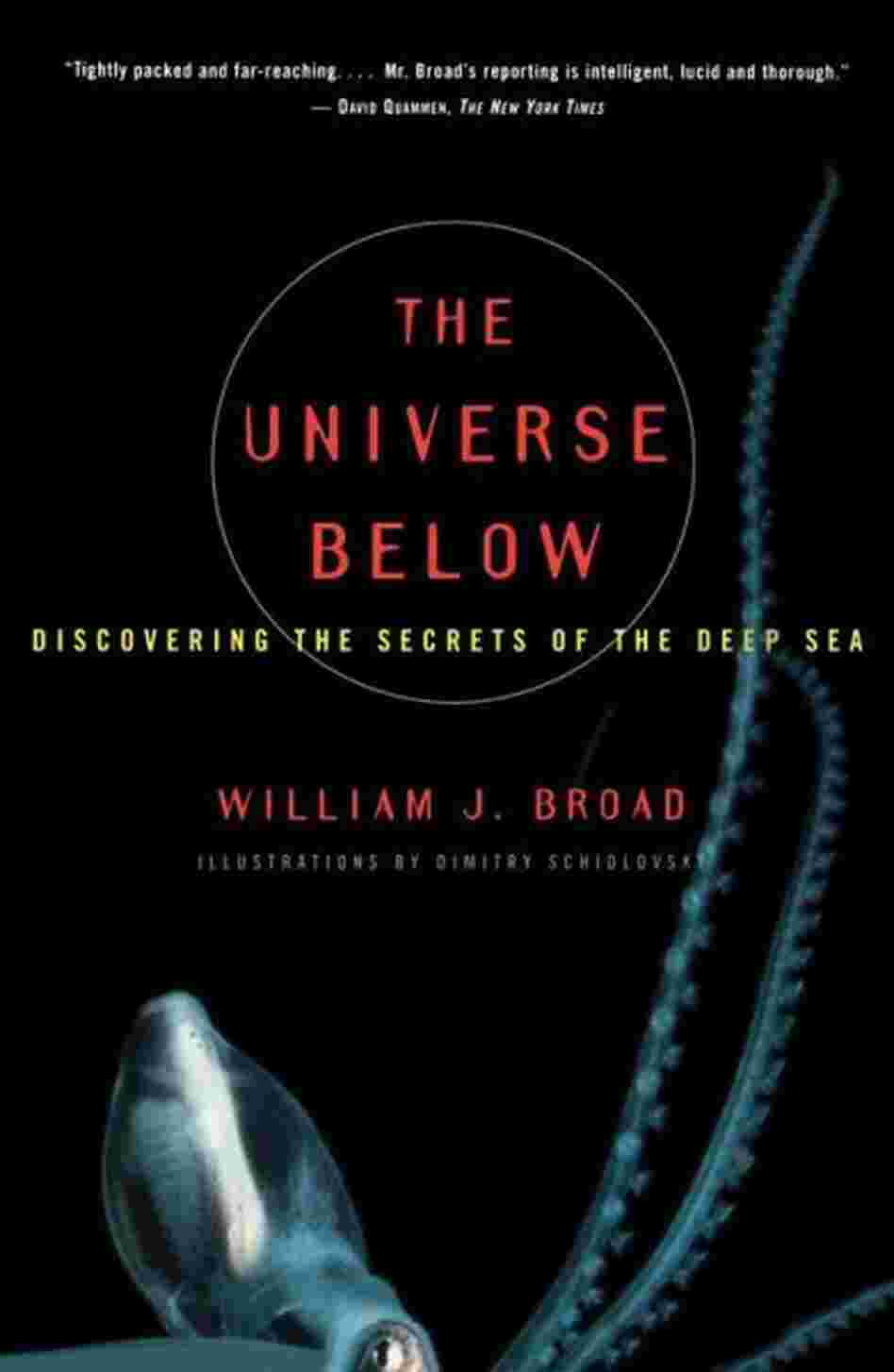 The Universe Below