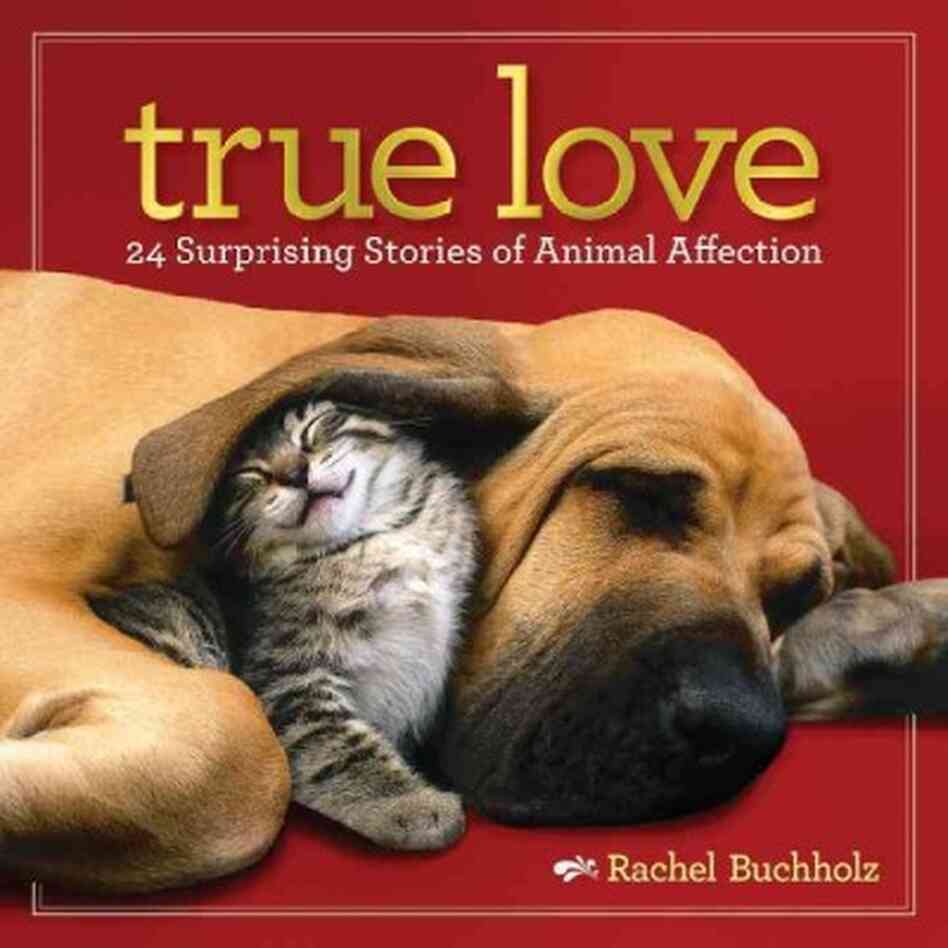 True Love True Love