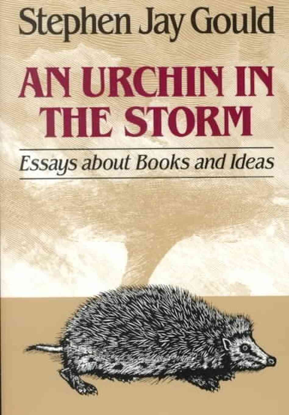 Urchin in the Storm