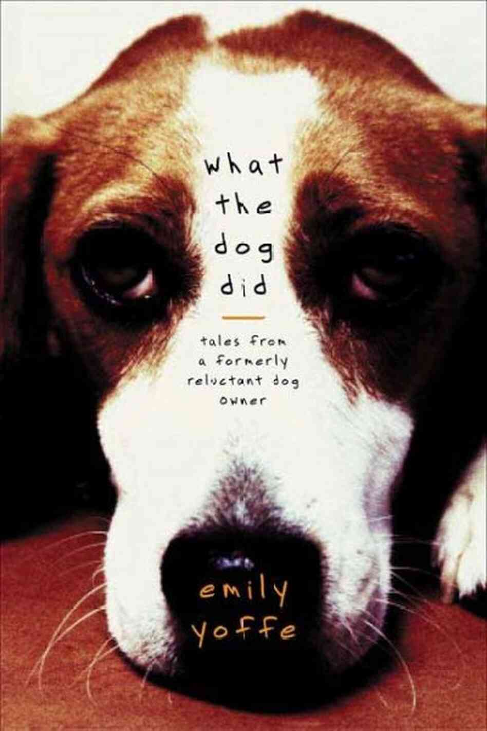 What The Dog Did