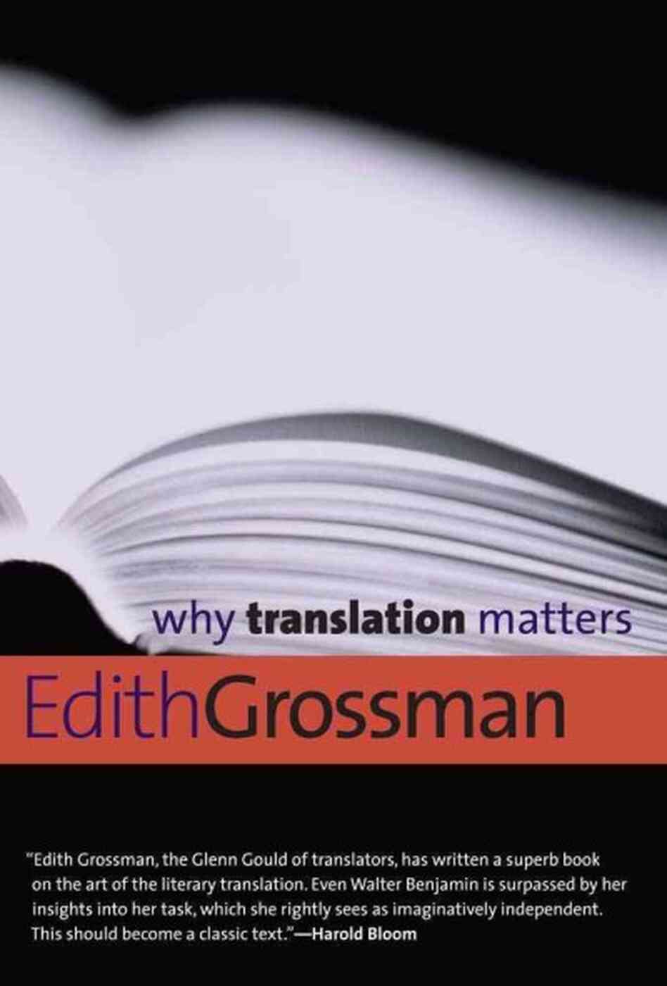 Why Translation Matters Why Translation Matters