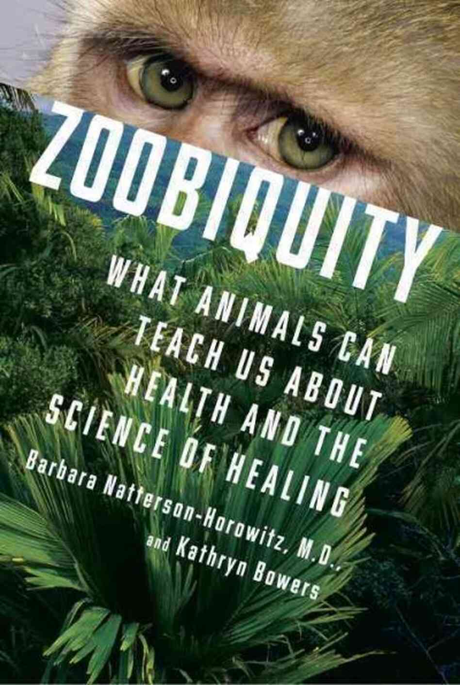 Zoobiquity Zoobiquity
