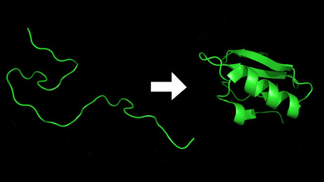 Protein Folding