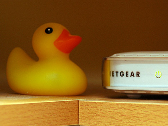 A duck and a wireless router.