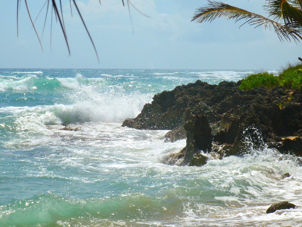 Waves break on rocks on beach near Cabarete, Dominican Republic