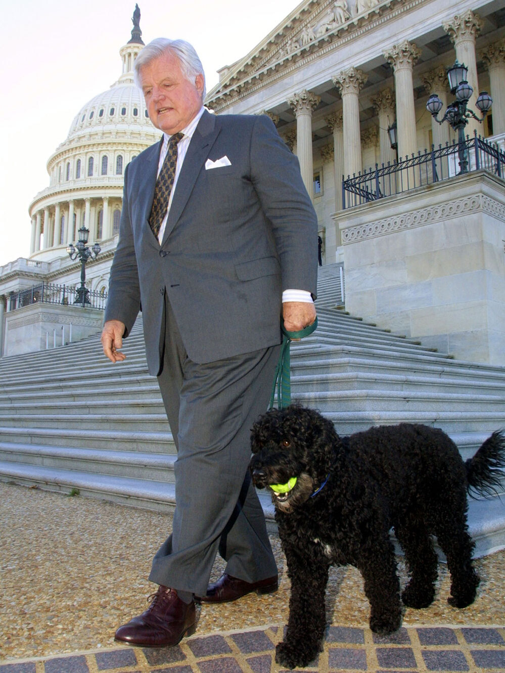 edward kennedy and splash