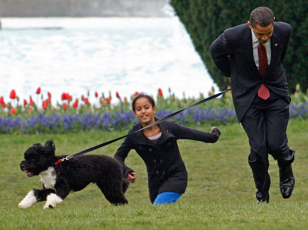 Obama at NIH.