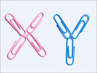 imported image imported image