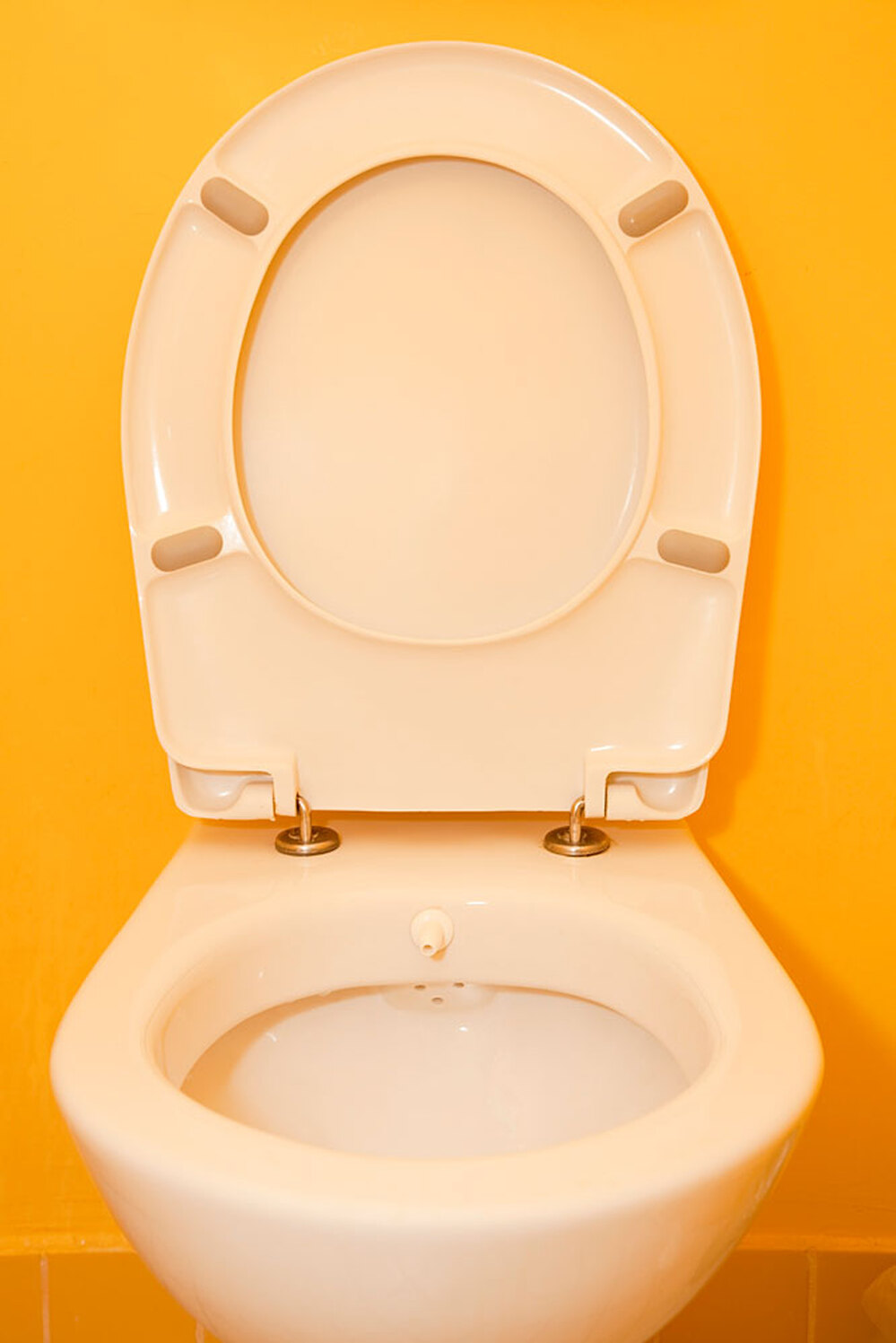 Toilet seat.