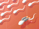 Sperm with a jetpack. Sperm with a jetpack.