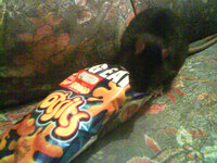 Rat eyes bag of chips.