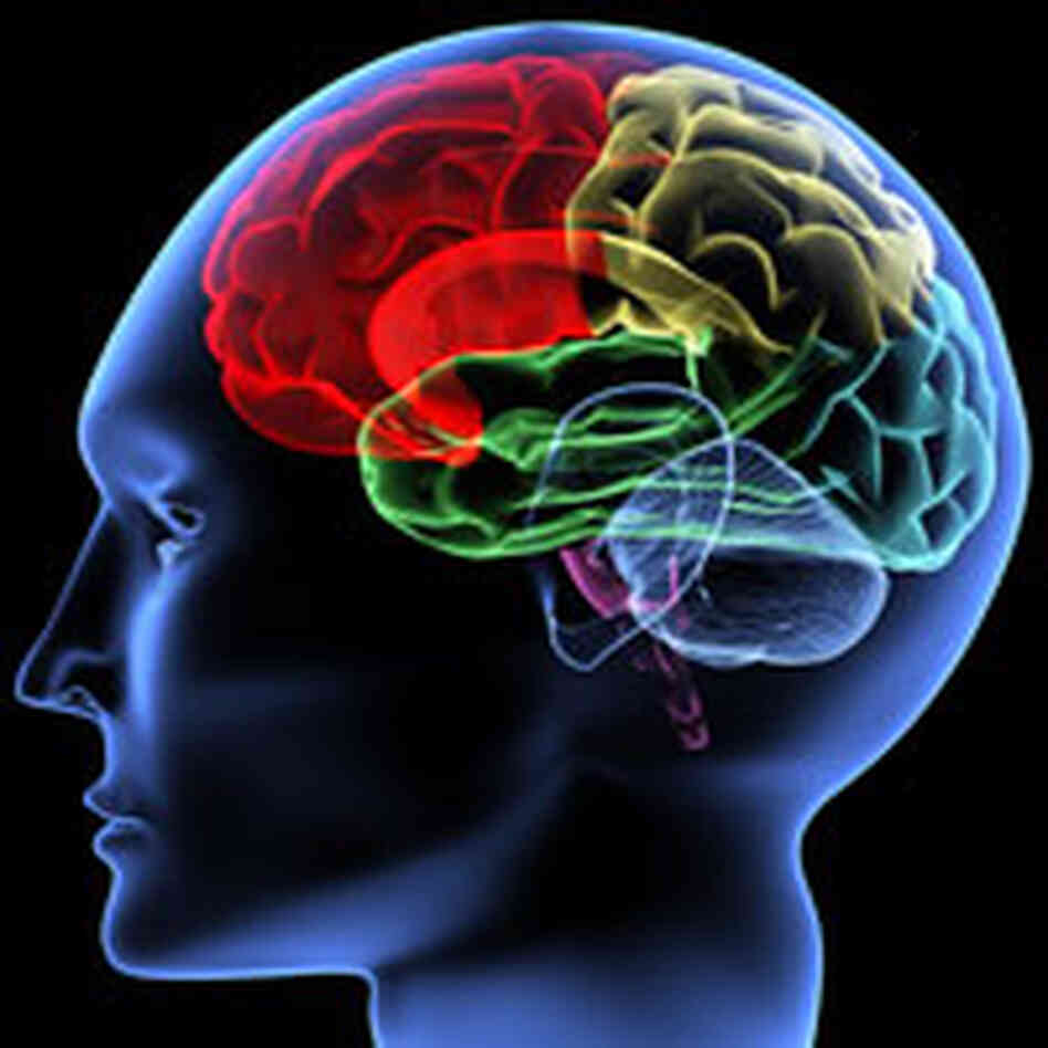 Brain scan. Brain scan.