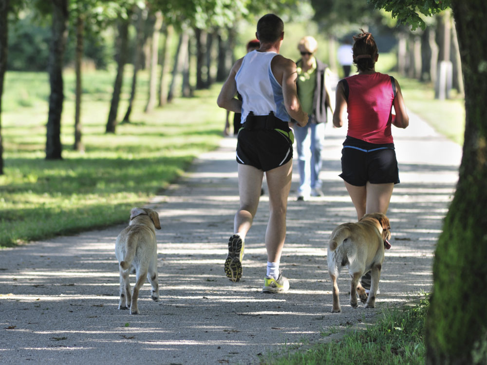 Two runners in the park
