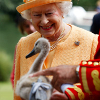Queen Elizabeth.