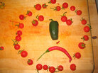 imported image imported image