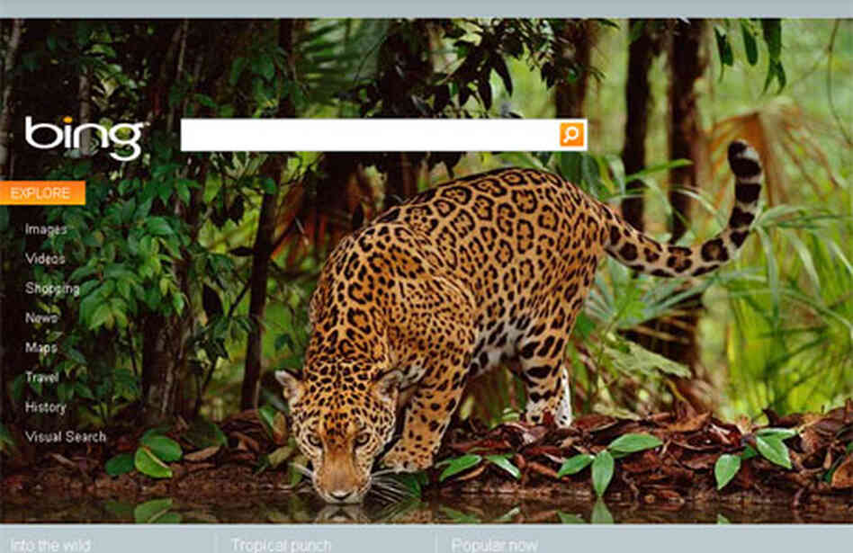 A screenshot from Bing A screenshot from Bing