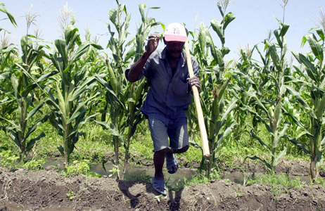 A farmer in Haiti