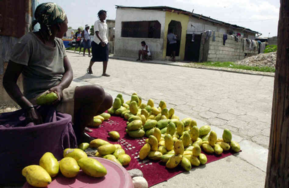 mangos for sale in Haiti mangos for sale in Haiti